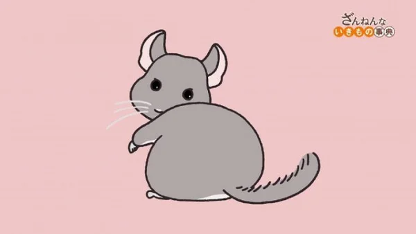 Энциклопедия жалких созданий 3 сезон